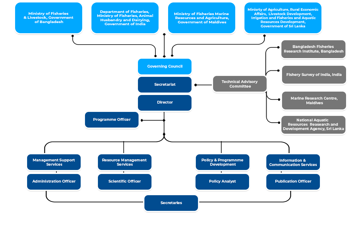 organogram